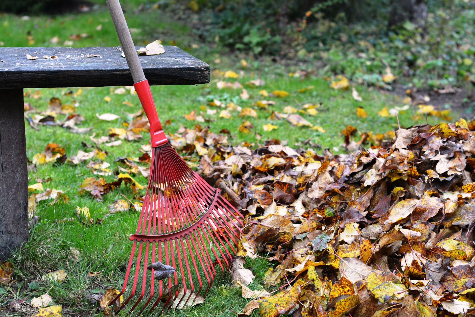 A rake with a pile of leaves